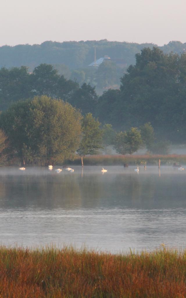 Réserve Ornithologique De Careil - algemeen beeld van het ornithologisch reservaat