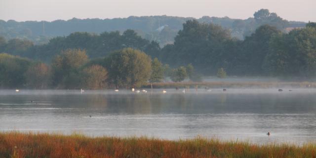 Réserve Ornithologique De Careil - algemeen beeld van het ornithologisch reservaat