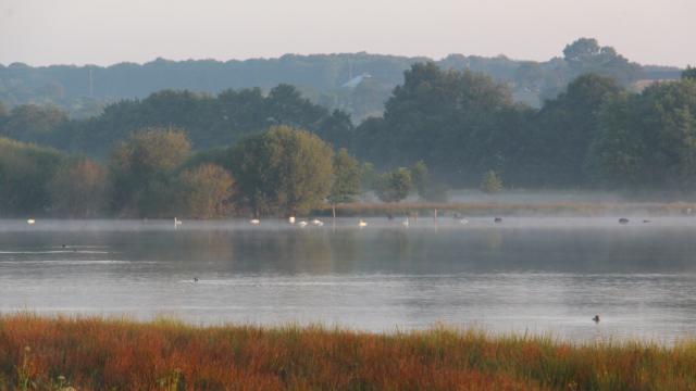 Réserve Ornithologique De Careil - Allgemeiner Blick auf das Vogelschutzgebiet