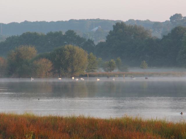 Réserve Ornithologique De Careil - vue générale sur la réserve ornithologique