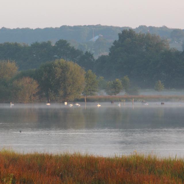 Réserve Ornithologique De Careil - vista general de la reserva ornitológica