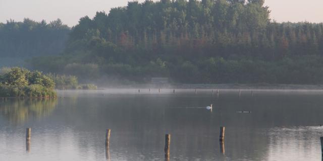 Réserve Ornithologique De Careil - algemeen beeld van het landgoed