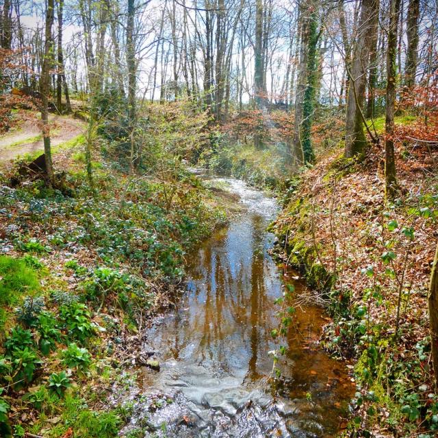 Instagram #broceliande