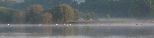 Réserve Ornithologique De Careil - algemeen beeld van het ornithologisch reservaat