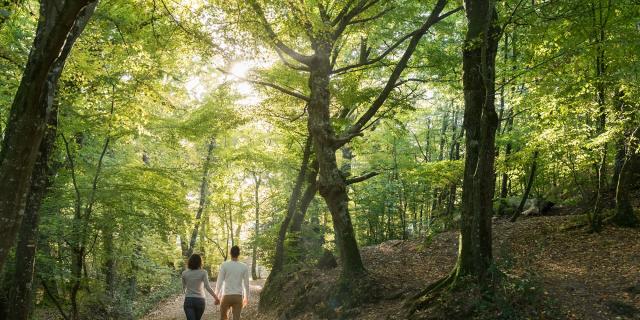 balade dans le val sans retour et découverte de la forêt de Brocéliande