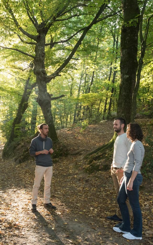 France, Morbihan (56), Tréhorenteuc, la Val sans Retour