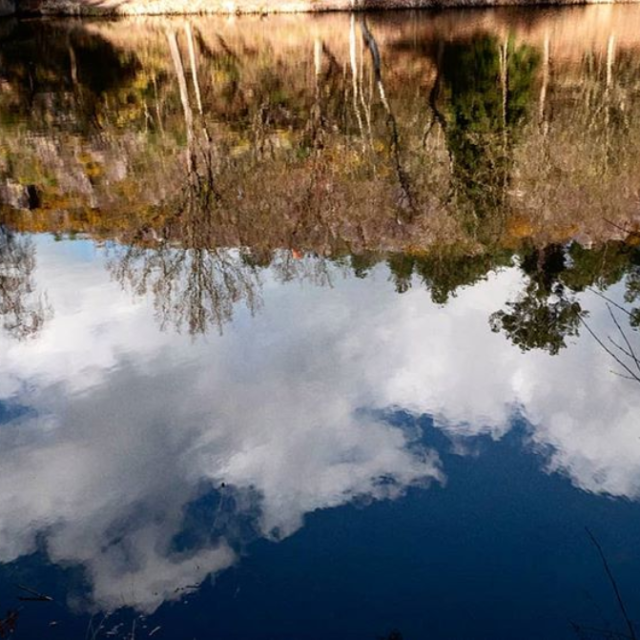 Vallon De La Chambre Au Loup - reflet dans l'eau