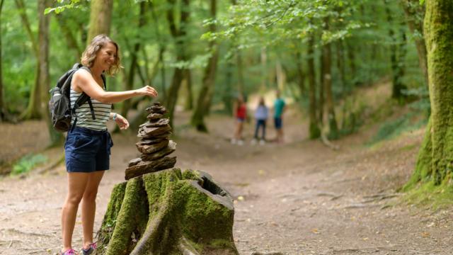 sculpture de pierre dans le val sans retour et randonnée en forêt de Brocéliande