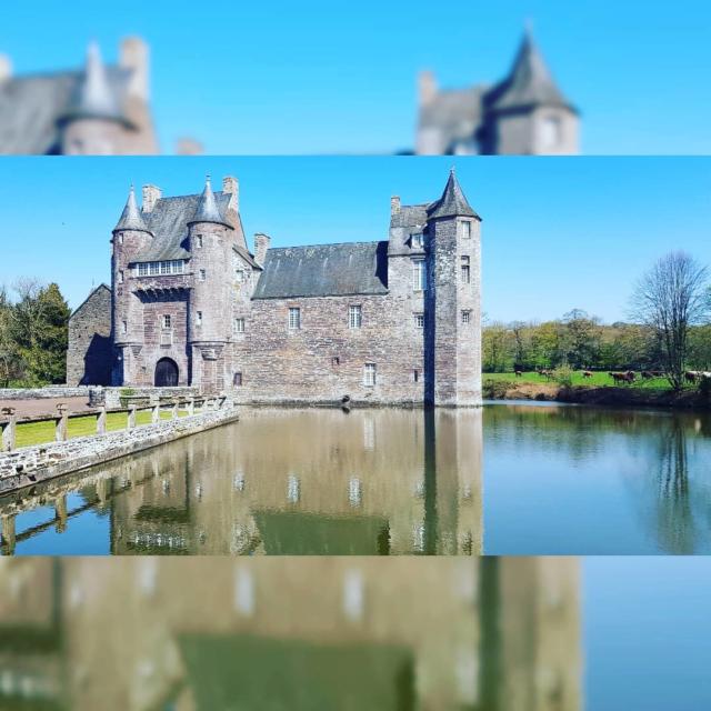 Instagram #broceliande