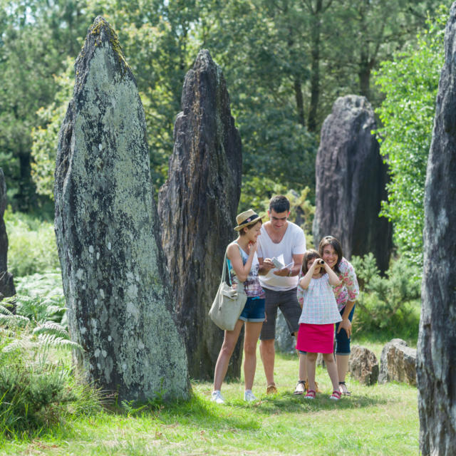 Monteneuf menhirs