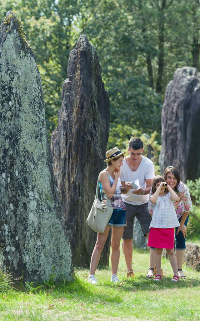 Monteneuf menhirs