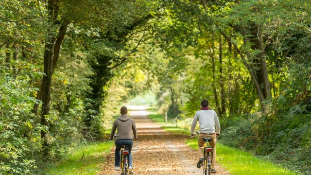 Voie verte brocéliande bike tour