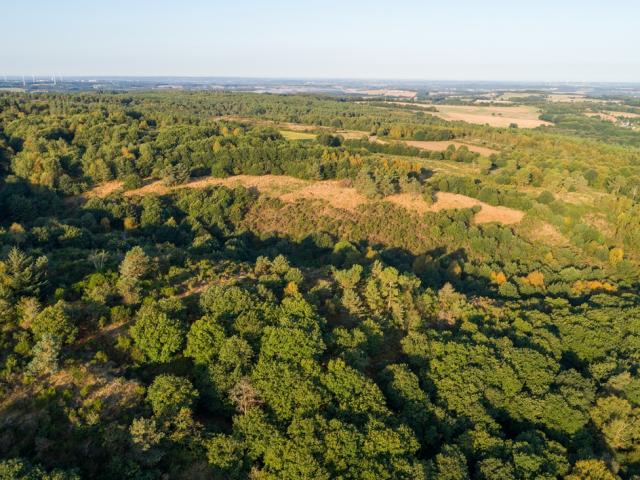 Brocéliande en drone