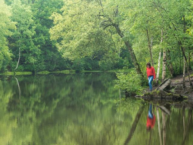 Miroir Aux Fées - Tréhorenteuc