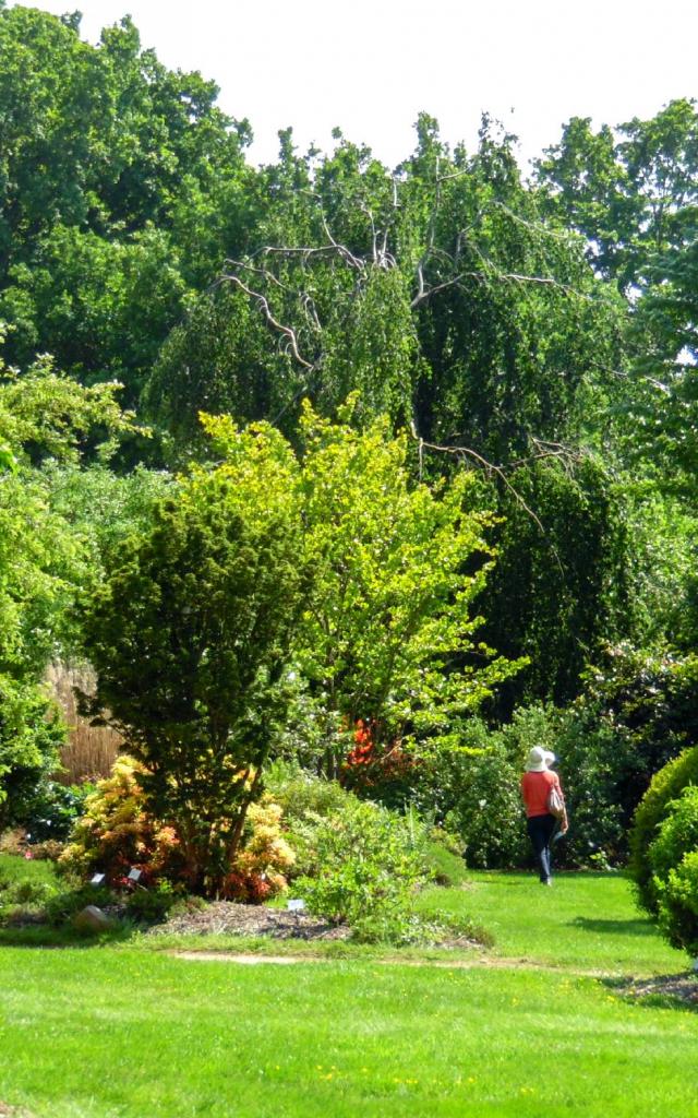 Jardinsbroceliande2016 Spaziergang