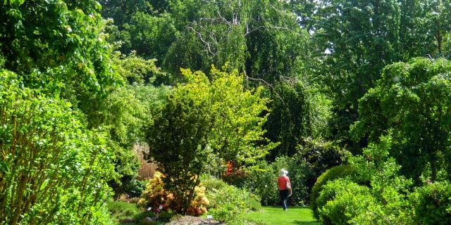 Jardinsbroceliande2016 Promenade