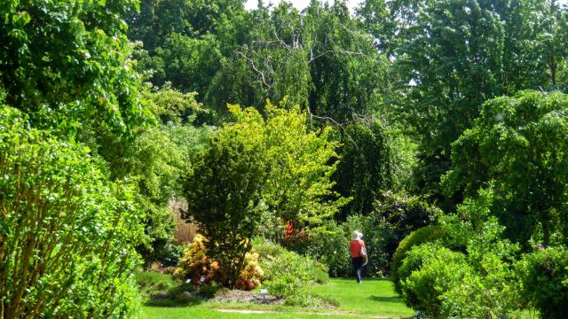 Jardinsbroceliande2016 Promenade