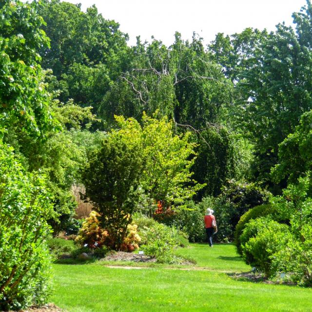 Jardinsbroceliande2016 Promenade