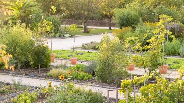 jardin-botanique-e-berthier.jpg