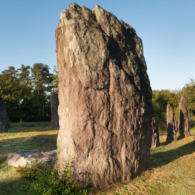 Menhirs Monteneuf