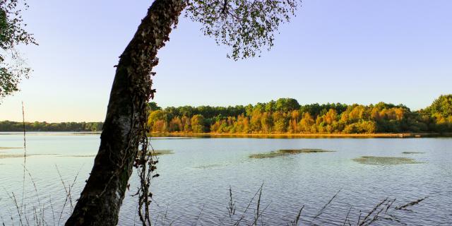 lac-de-tremelin-base-de-loisirs-6.jpg