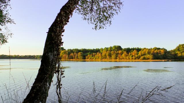 Lac De Trémelin Base De Loisirs (6)