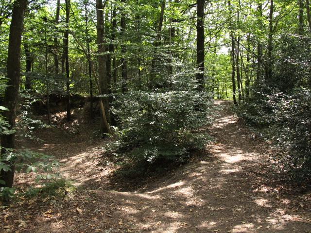 Les buttes De La Hautière à Muël