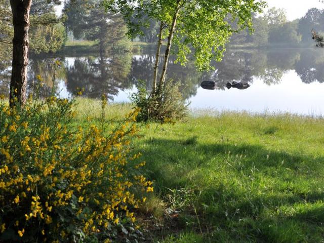 La Marette à St Malon sur Mel