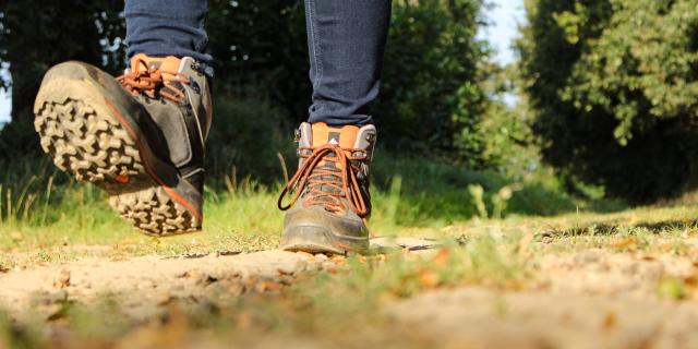 Groene wandeling in Breteil