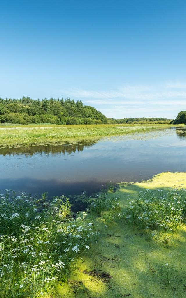 buitengewoon natuurgebied lac au duc