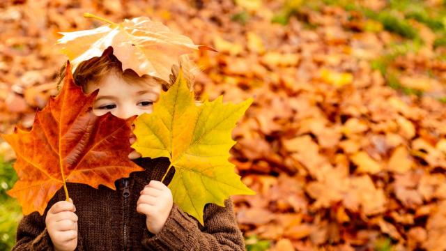 otoño familia niños