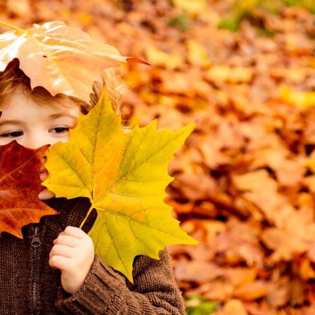 otoño familia niños