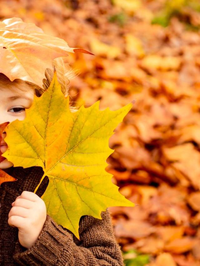 Herbst Familie Kind