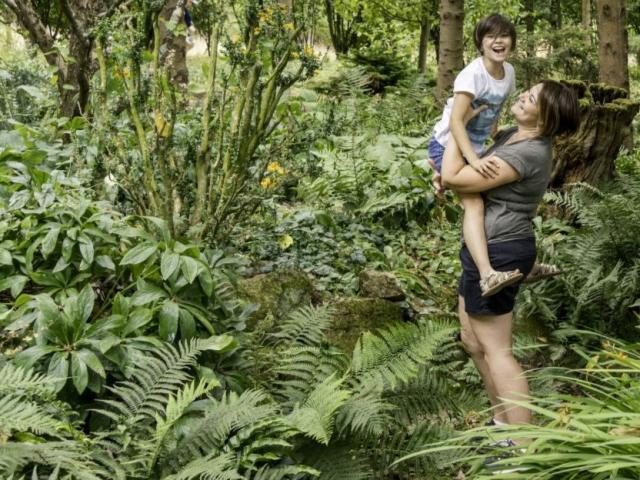 Jardines de Brocéliande, la Rocaille