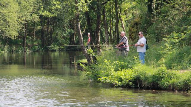 Chambre au loup - Pesca