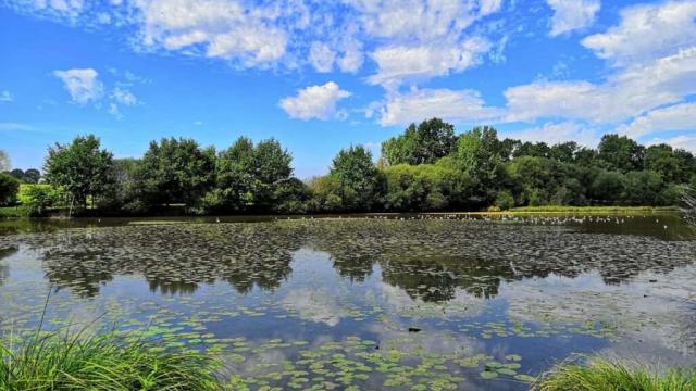 Etang De Blavon Bedee