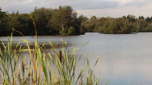 Etang Du Guern Talensac