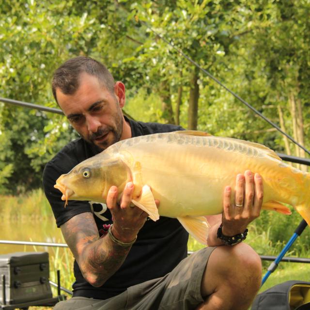 La Carpe Poisson Roi Deau Douce