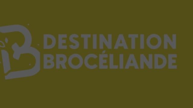 Destinationbroceliandejaunecontraste