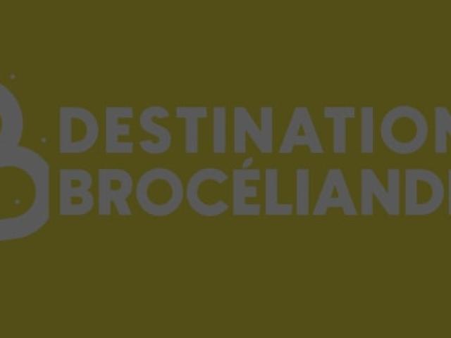 Destinationbroceliandejaunecontraste