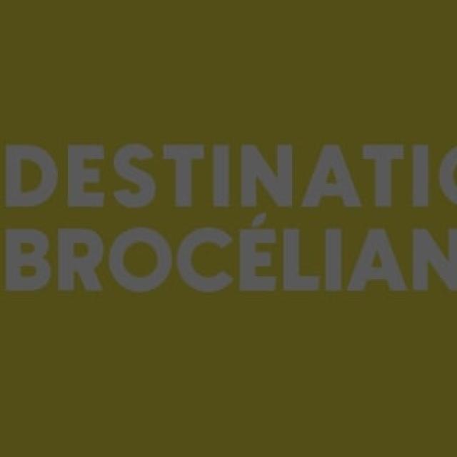 Destinationbroceliandejaunecontraste