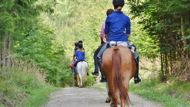 Horse Riding Credit Pixabay Royalty Free Images 5