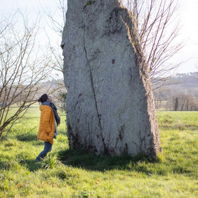 Menhir De La Pierre Longue Credit Office De Tourisme Montfort Communaute Mars 2022 7 Min