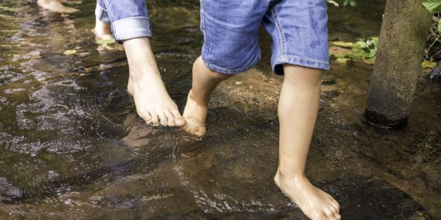 Visuel des Jardins Broceliande 2025 - Reveille Tes Pieds