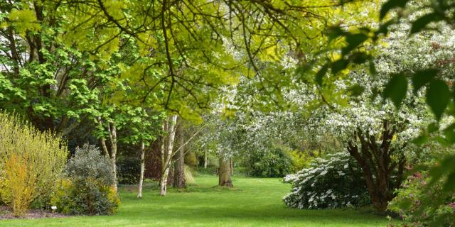 Visuel 2025 des Jardins de Brocéliande - Le Printemps